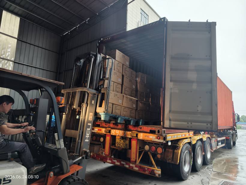 Container loading operation with palletized cartons being loaded by forklift for export shipment